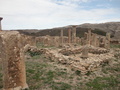 DSC06423.JPG