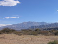 img_0992.jpg