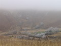img_1007.jpg