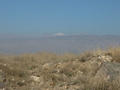 p1010342.jpg