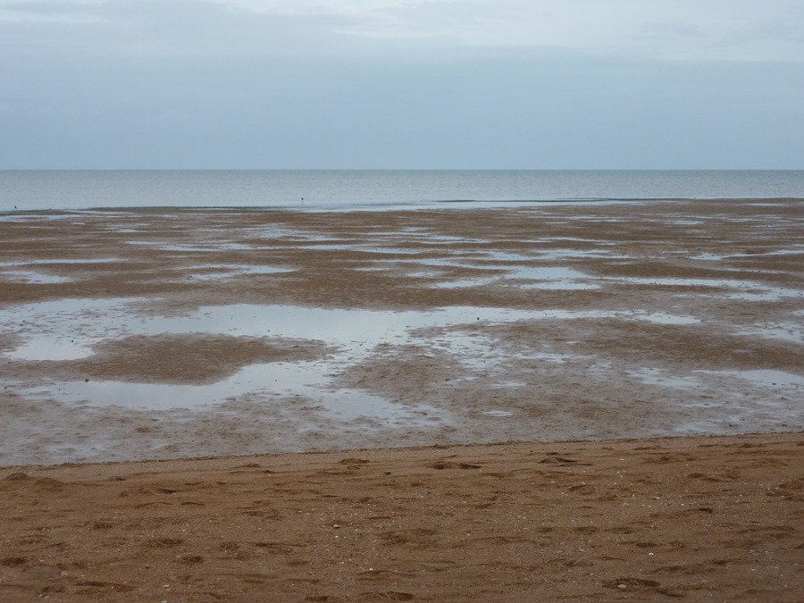 p1000935.jpg