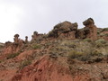 img_1134.jpg