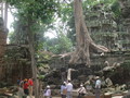 img_1454.jpg