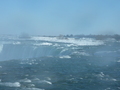 p1000115.jpg