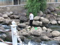 IMG_9169.JPG