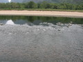 img_8852.jpg