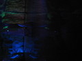 img_9062.jpg