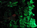 img_9066.jpg