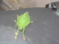 img_1765.jpg