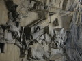 img_5575.jpg