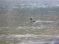img_7636.jpg