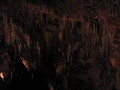 img_1069.jpg