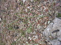 img_0812.jpg