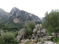 img_0822.jpg