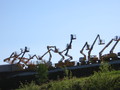 img_7582.jpg