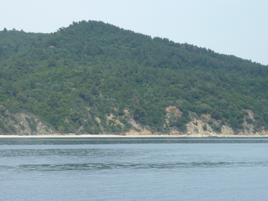 p1000513.jpg