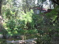 img_2913.jpg