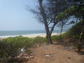 P1010693.JPG