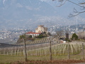 P1010708.JPG