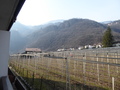 P1010697.JPG