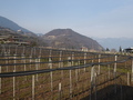 P1010698.JPG