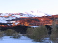 img_1441.jpg