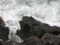 img_8011.jpg