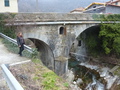 p1010724.jpg