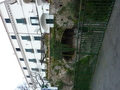 p1000062.jpg