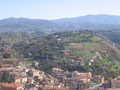 img_1621.jpg