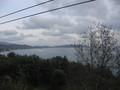 img_1809.jpg