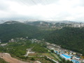 p1000647.jpg