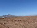 img_4337.jpg