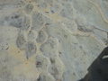 DSC07183.JPG
