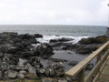 img_6205.jpg