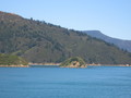 img_8482.jpg