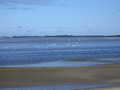 img_6259.jpg