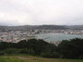 img_6110.jpg