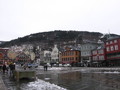 img_7321.jpg