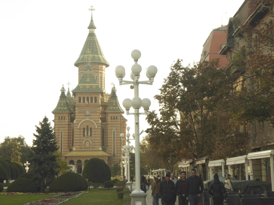 P1000284.JPG