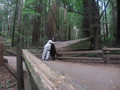 img_4084.jpg