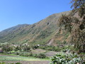 img_0505.jpg